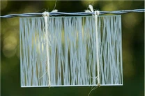 Siiditrükk Dekoratiivklaas