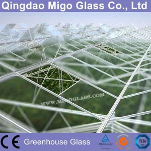 4mm karastatud klaasi kasvuhoonegaaside